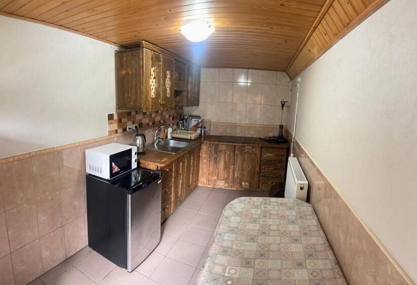 ホテル верховинський водограй