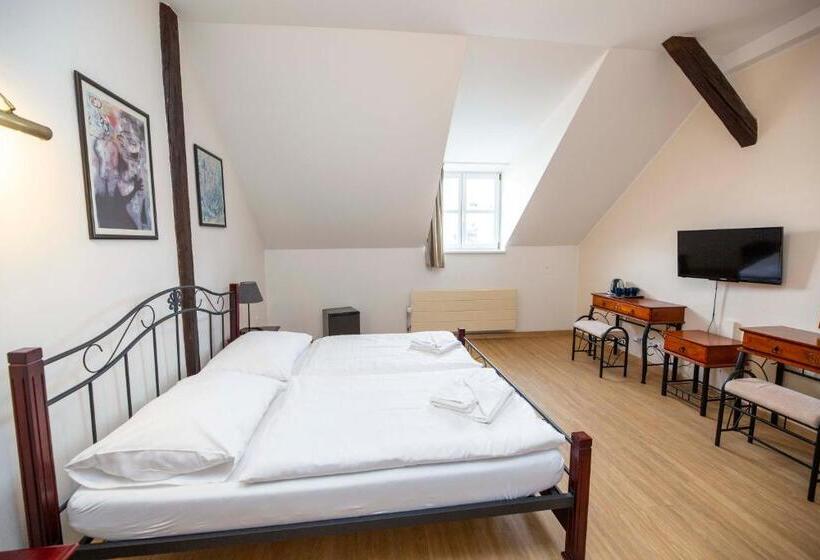 پانسیون Penzion Královské Lázně