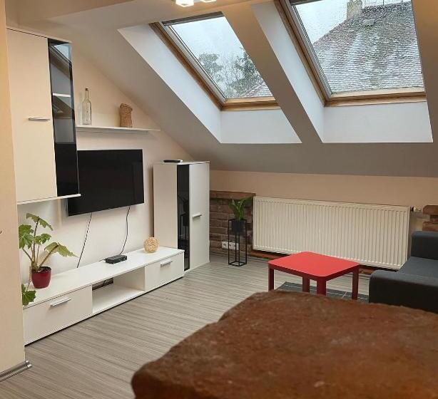 پانسیون Penzion Královské Lázně