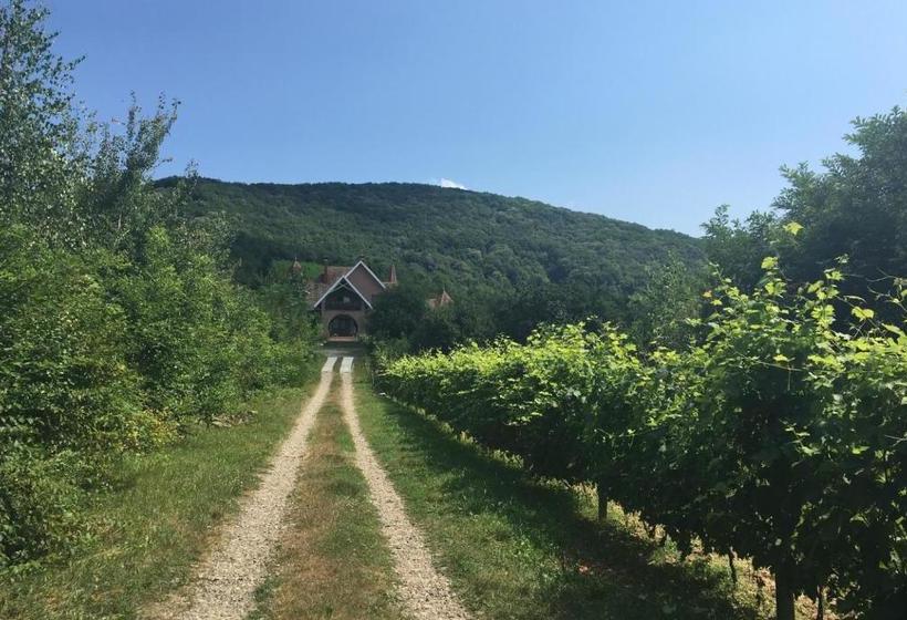 ペンション Polychko Winehouse