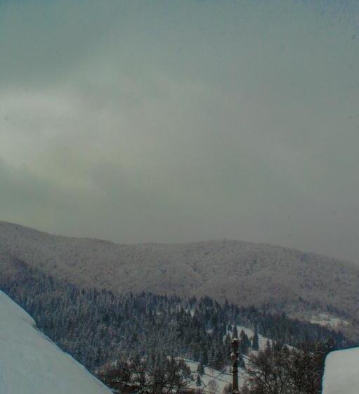 ペンション Synevyrskyj Chardash