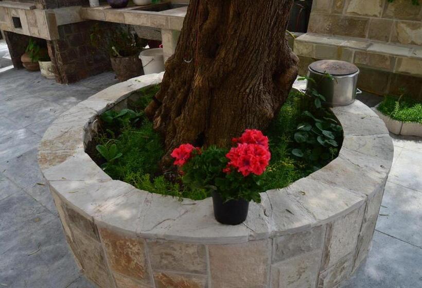 پانسیون Vila Maslina Guesthouse