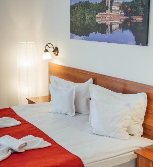 Pensiunea Comfort
