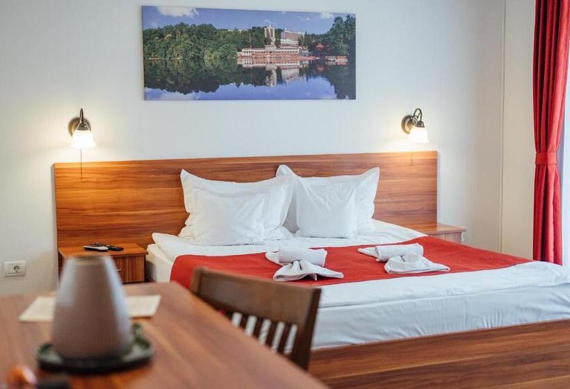 Pensiunea Comfort