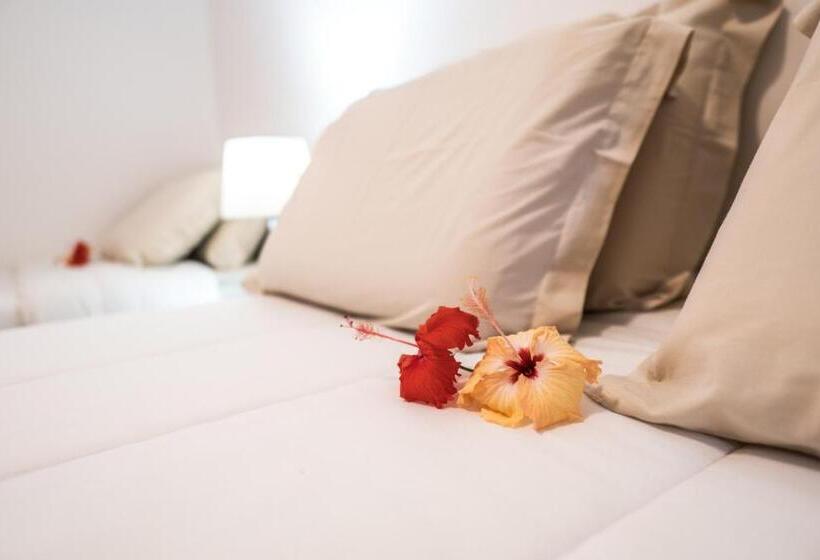 פנסיון Pousada Boipeba Beach