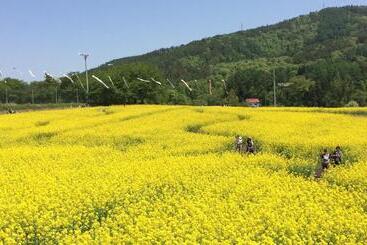 Blueberry Pension Madarao