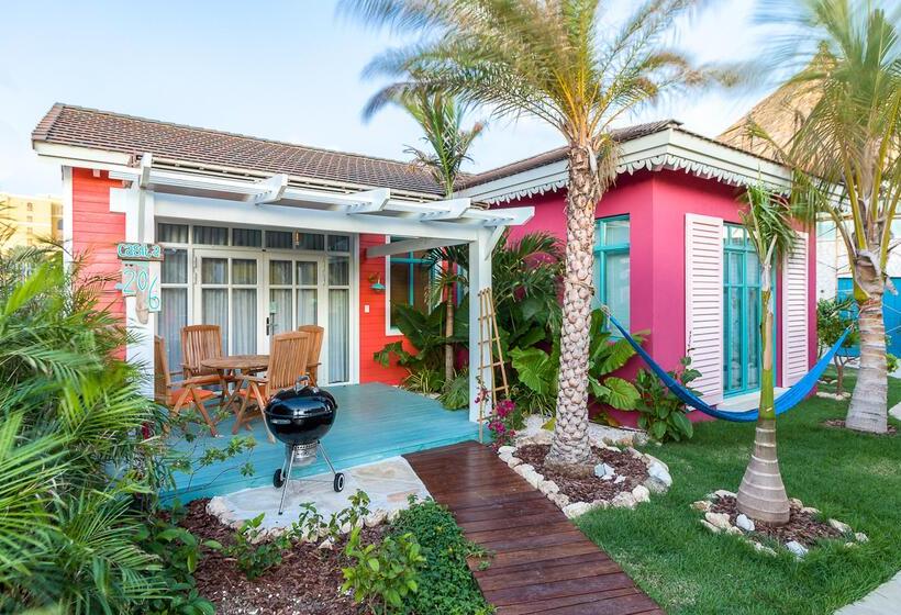 Boardwalk Boutique Hotel Aruba   Adults Only