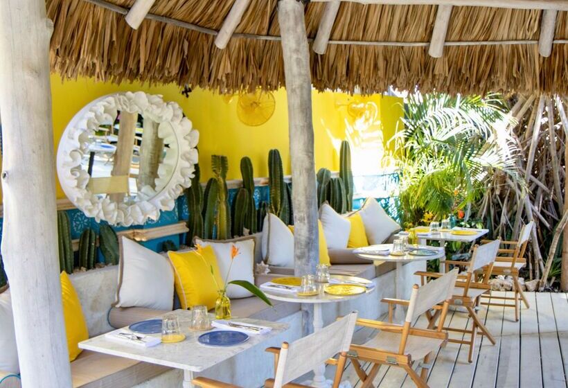 Boardwalk Boutique Hotel Aruba   Adults Only