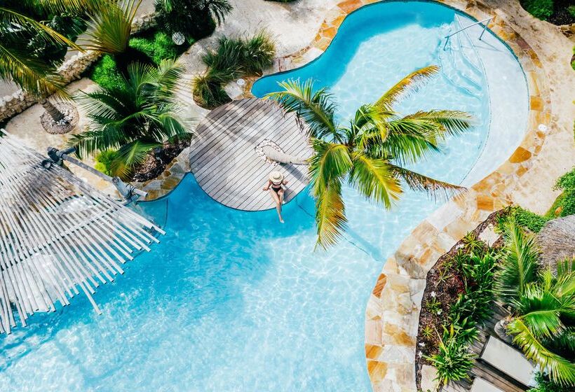 Boardwalk Boutique Hotel Aruba   Adults Only