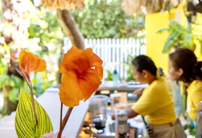 Boardwalk Boutique Hotel Aruba   Adults Only