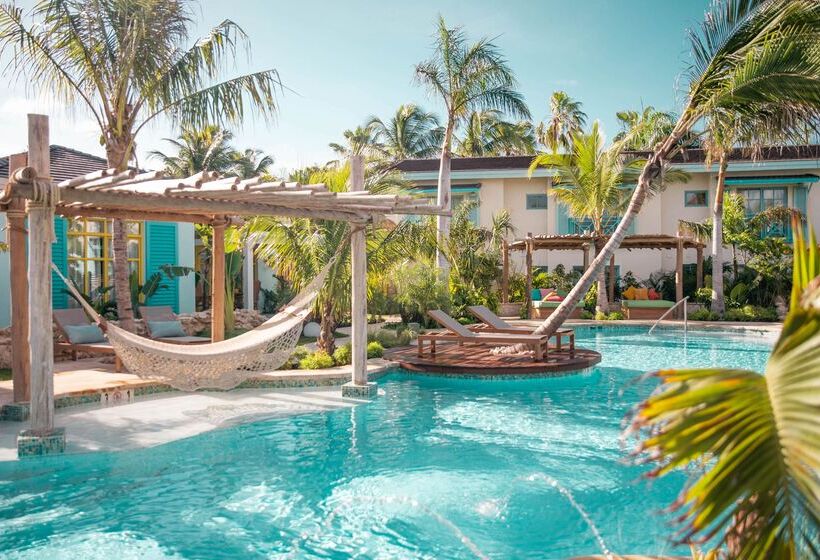 Boardwalk Boutique Hotel Aruba   Adults Only