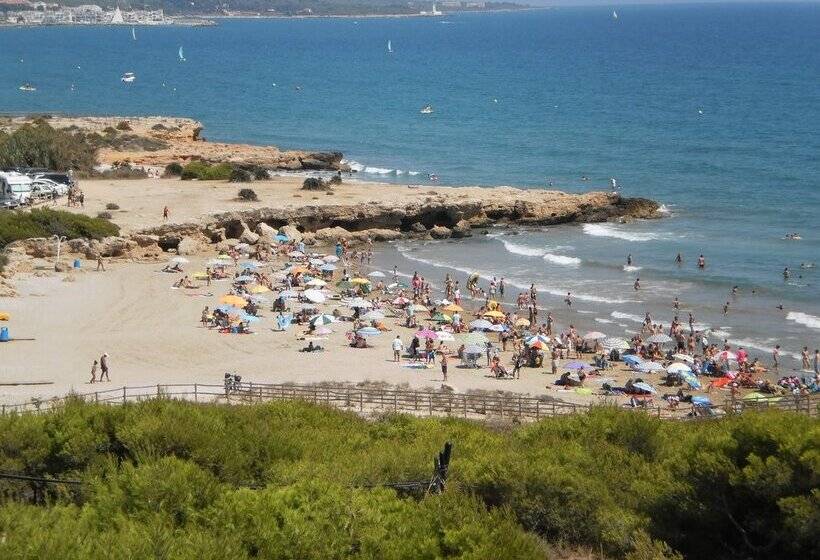 هتل Alcocebre Suites