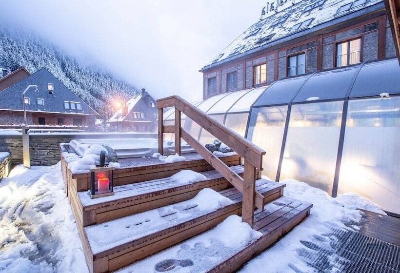 Gran Hotel Mim Baqueira Luxury & Spa