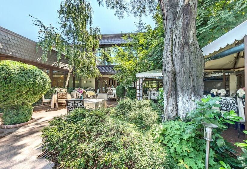 Fotos del hotel Montecito:  19