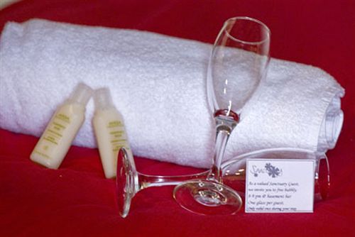 בית מלון כפרי Base Bay Of Islands  Hostel