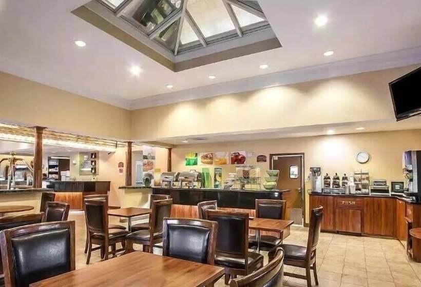 هتل La Quinta Inn & Suites By Wyndham Memphis I 240