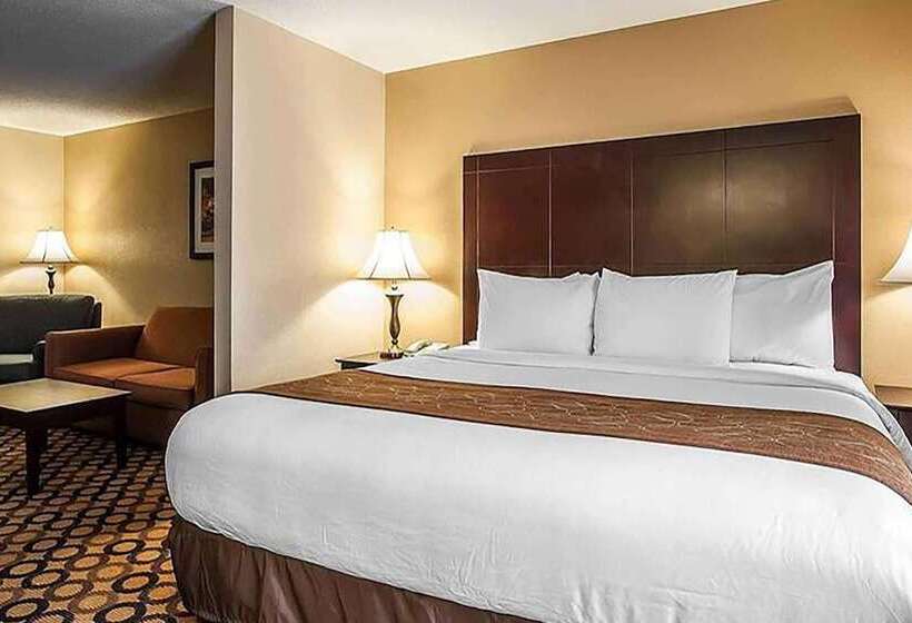هتل La Quinta Inn & Suites By Wyndham Memphis I 240