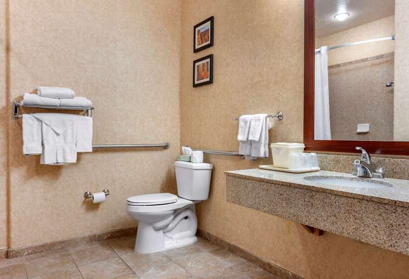 هتل Comfort Inn At Convention Center