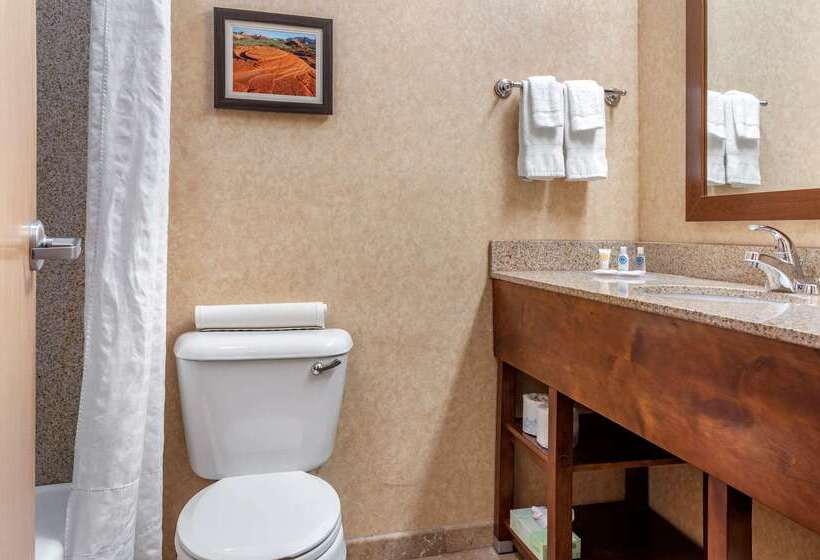 هتل Comfort Inn At Convention Center