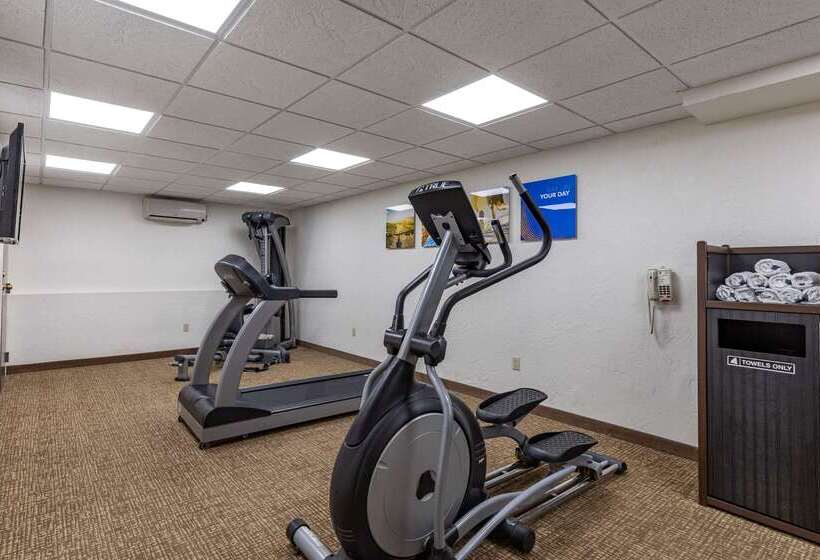 בית מלון כפרי Comfort Inn Butte City Center I 15   I 90