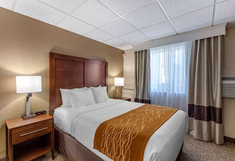 בית מלון כפרי Comfort Inn Butte City Center I 15   I 90