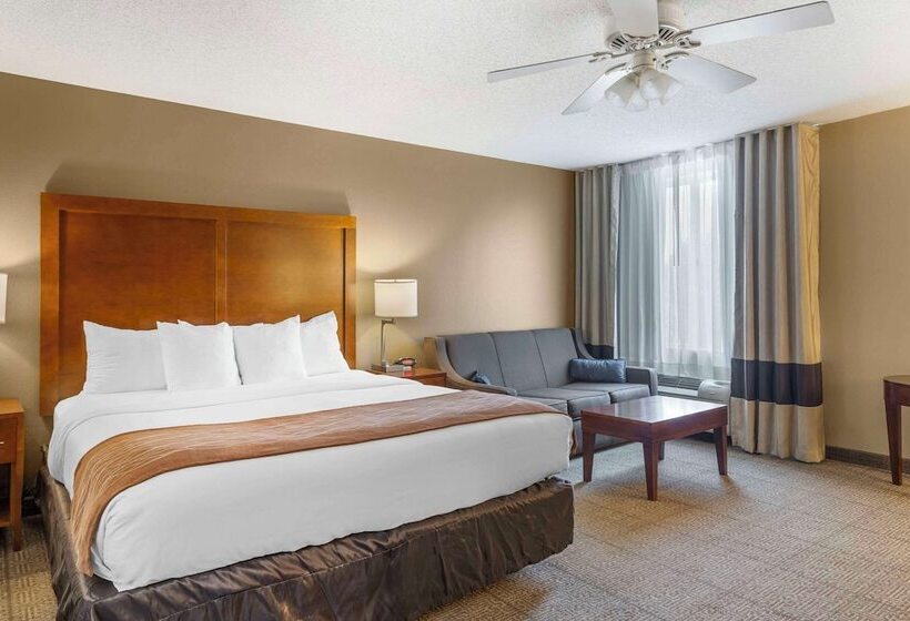 هتل Comfort Inn North Polaris