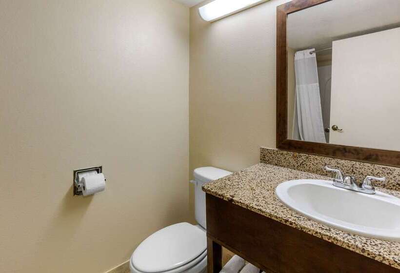 호텔 Comfort Inn St Petersburg North