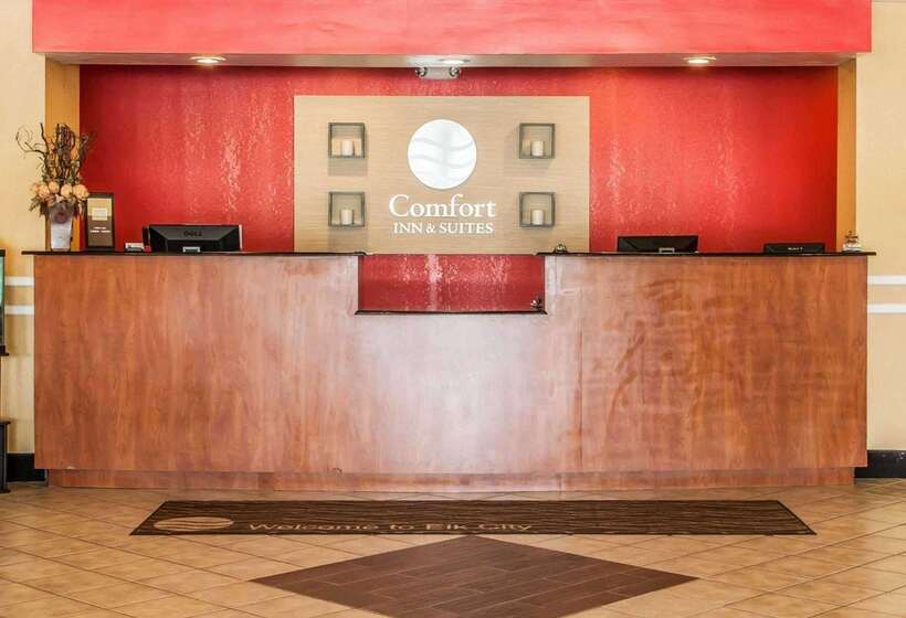 ホテル Comfort Inn & Suites