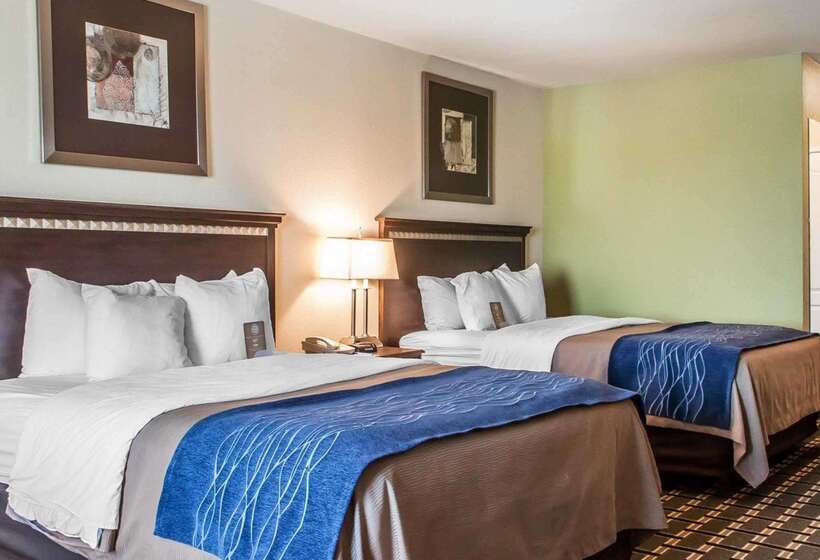 هتل Comfort Inn & Suites