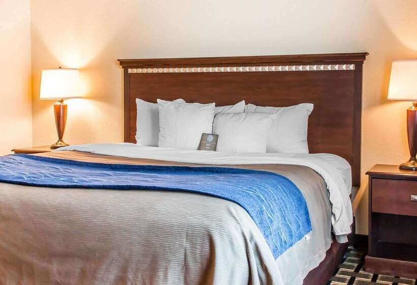 هتل Comfort Inn & Suites