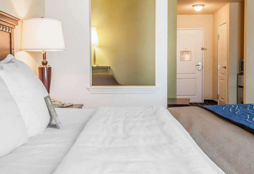 هتل Comfort Inn & Suites