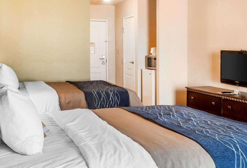 هتل Comfort Inn & Suites