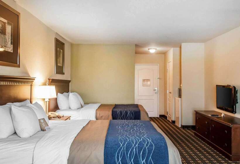 هتل Comfort Inn & Suites