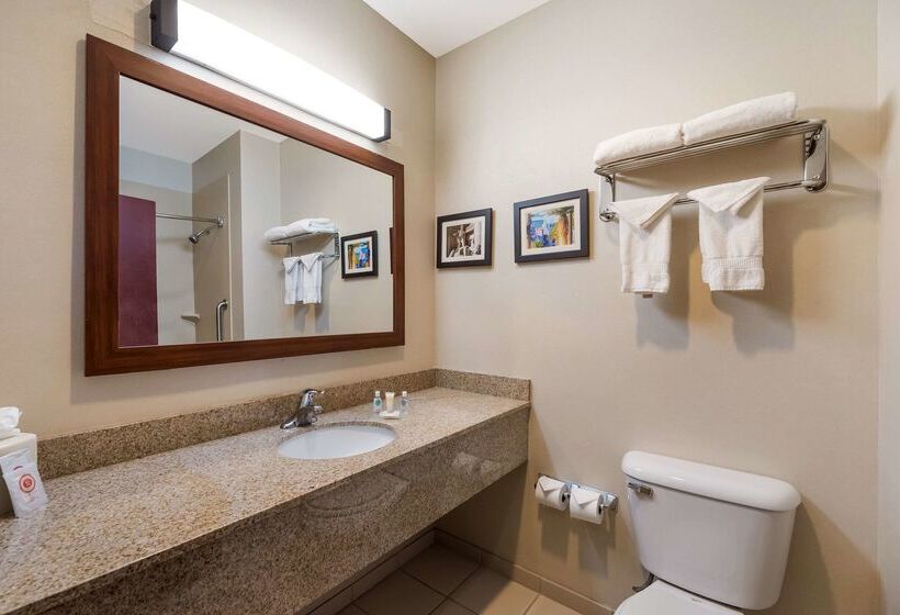 Fotos del hotel Comfort Inn & Suites Las Vegas - Nellis:  21