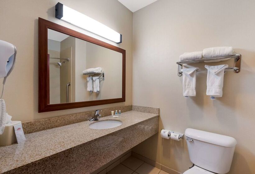 Fotos del hotel Comfort Inn & Suites Las Vegas - Nellis:  20