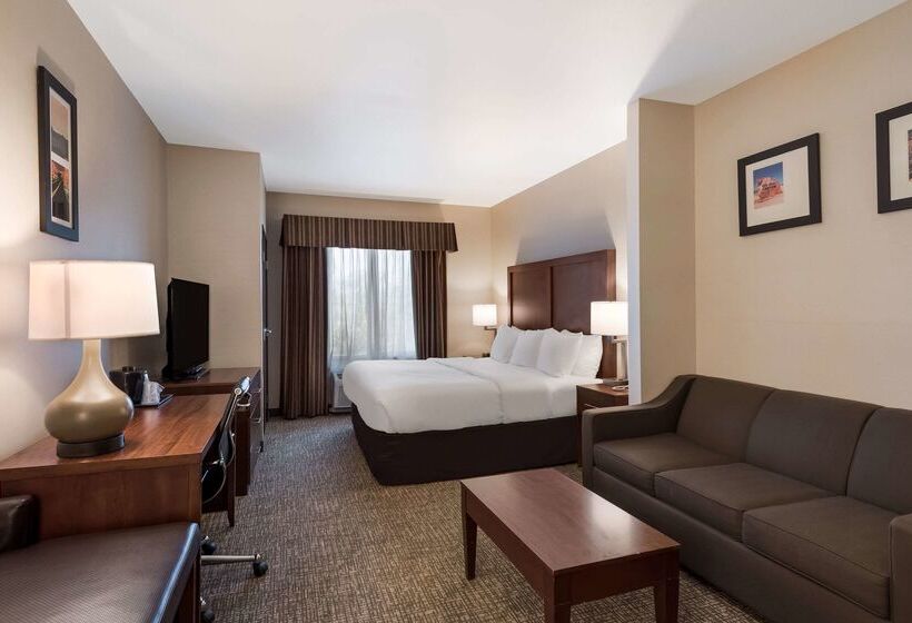 Fotos del hotel Comfort Inn & Suites Las Vegas - Nellis:  9