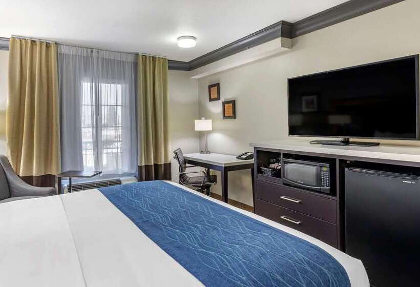 هتل Comfort Inn & Suites Near Universal  N. Hollywood  Burbank