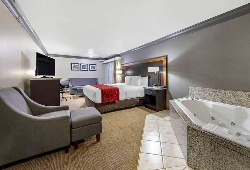 هتل Comfort Inn & Suites Near Universal  N. Hollywood  Burbank