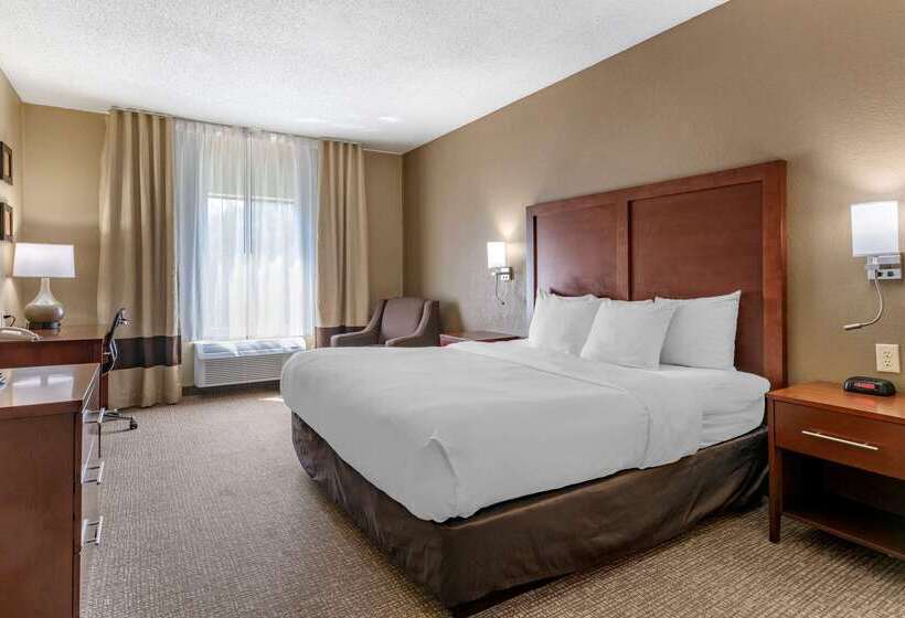 酒店 Comfort Inn & Suites St. Louiso Fallon