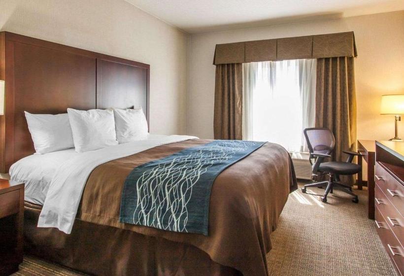 호텔 Comfort Inn & Suitesportland Airport