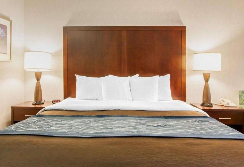 호텔 Comfort Inn & Suitesportland Airport