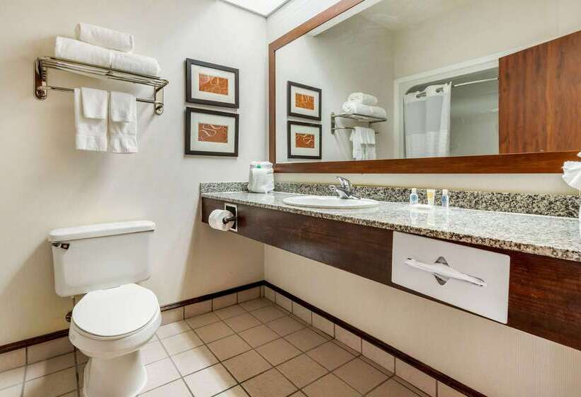 فندق Comfort Inn Summerville  Charleston