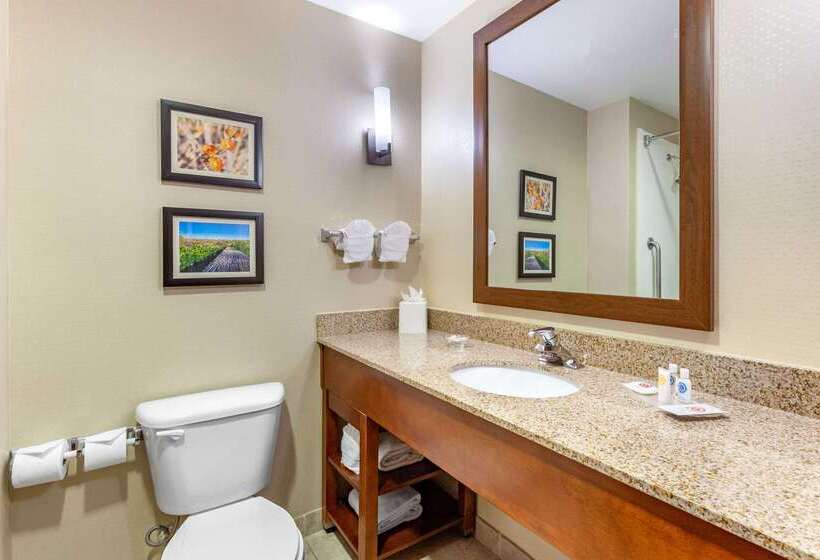 בית מלון כפרי Comfort Suites Glendale   State Farm Stadium Area