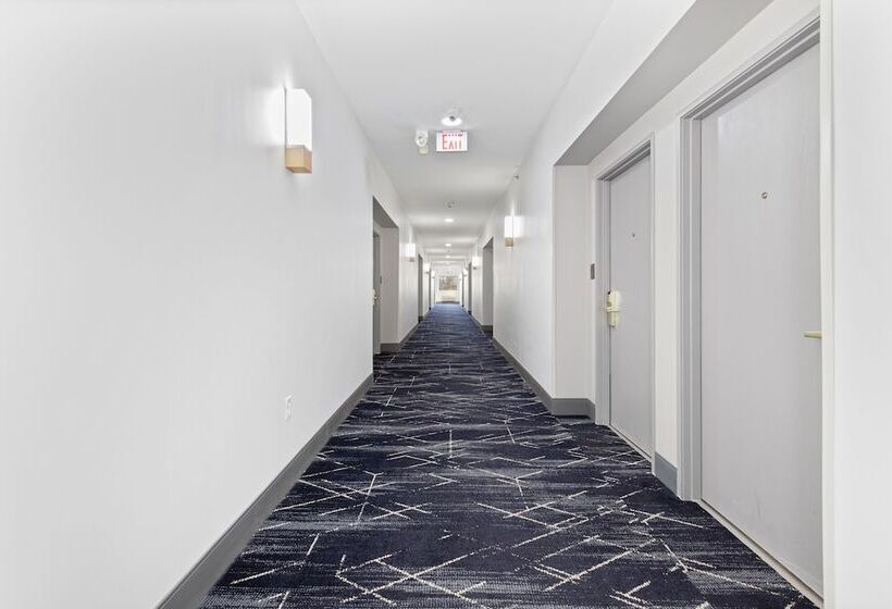 هتل Comfort Suites Lombard   Addison