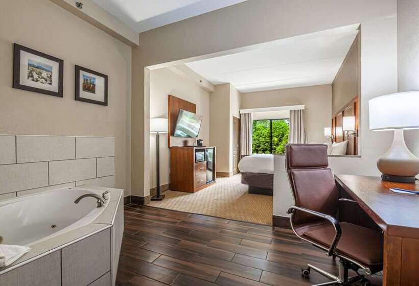 هتل Comfort Suites Morrow Atlanta South