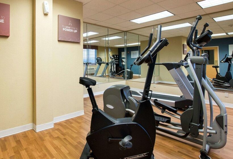 בית מלון כפרי Comfort Suites San Angelo Near University
