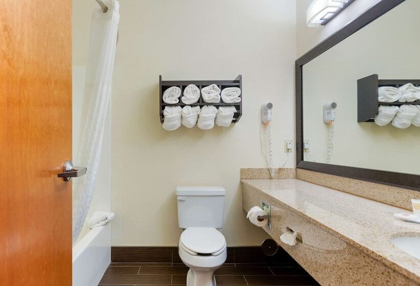 Отель Comfort Suites Stevensville St. Joseph