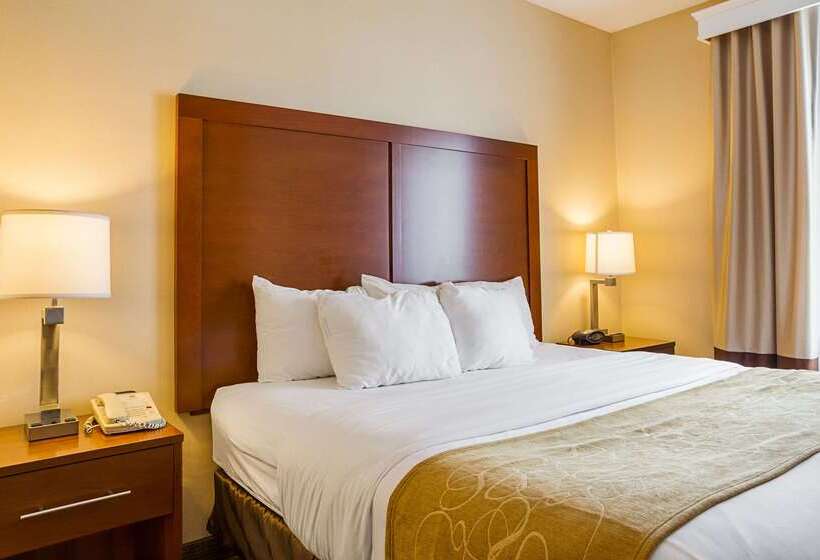 Hotel Comfort Suites Twinsburg