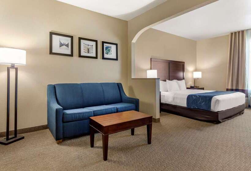 هتل Comfort Suites Waco Near University Area