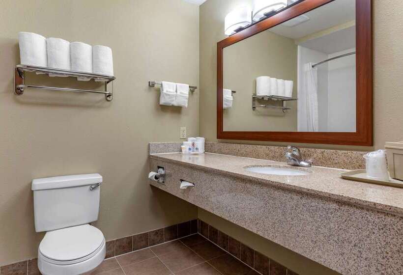 Hotel Comfort Suites Waco Near University Area